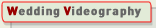 indian wedding videography